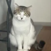 ウニの画像