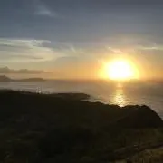 Fuyuの画像