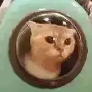 みみ=(^.^)=即購入OK参考書要確認の画像