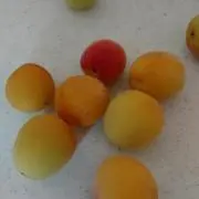 レイレイの画像