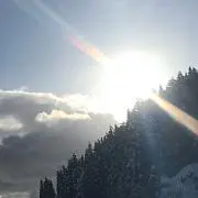 siroinu70の画像