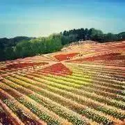 a.8の画像