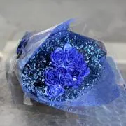 きらの画像