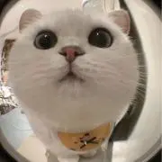 Image of こりん♪♪