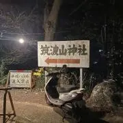 おいもの画像