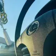 れもんの画像