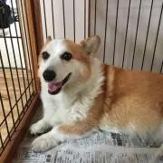 ララコギ☆プロフ読んでねの画像