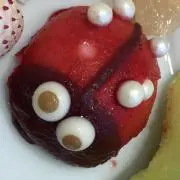 てんとう虫の画像