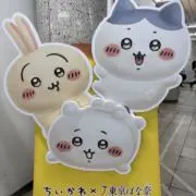 ハチ(プロフ必読)の画像