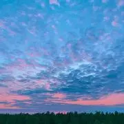 ☆hana☆の画像