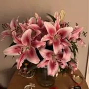 フラワー