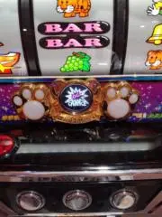 GoGo☆の画像