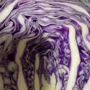 紫キャベツ