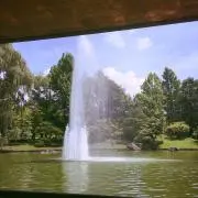 mocoの画像