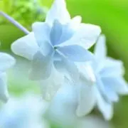 うづき
