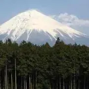 ☆HSK☆   購入前必ずコメント下さいの画像