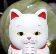 よっしー　Ψの画像