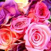 noaプロフ必読❣️