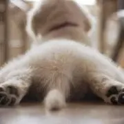 milkyの画像