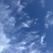 Aureaの画像