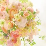 may25✾ 基本匿名配送の画像