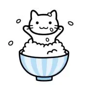 NECOCO