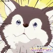 やまこ