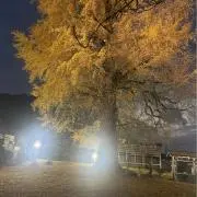 muの画像