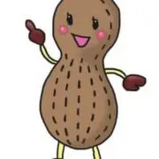 ぴーなっつの画像