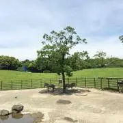 モモエ【おまとめ割歓迎】の画像