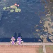 りあの画像