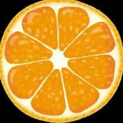 みかんの画像