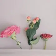 M Yの画像