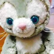taniku305の画像