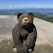 はなこの画像