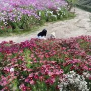 ゆきんこ