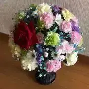 ゆめの画像