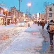 きしりょうの画像