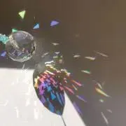ココン☆ ご購入前にプロフ読んでね☆の画像