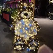 ゆいの画像