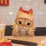 欣ちゃんの画像