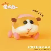 haramiの画像