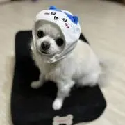 まるの画像