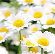 ๑パケチョ๑⚠️プロフ必読