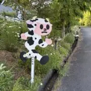 やまやまの画像