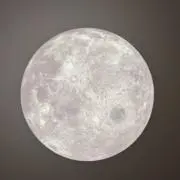 Miiの画像