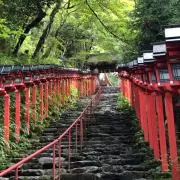 ゆーの.kの画像