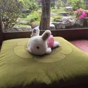 PIANOの画像
