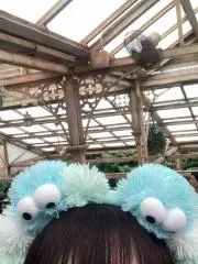 Yuk