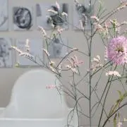 kafuu..の画像